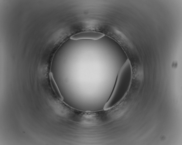 X0000097620560200802291328