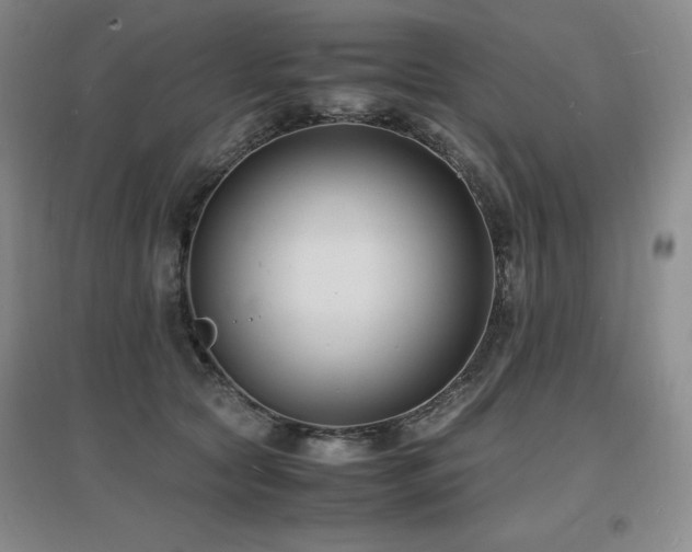 X0000097620561200802291328