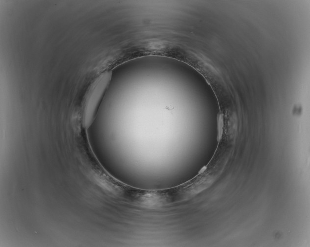 X0000097620562200802291328