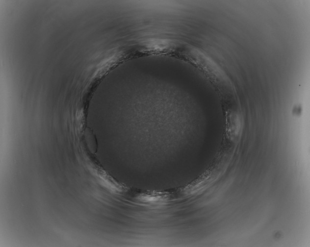 X0000097620563200802291328