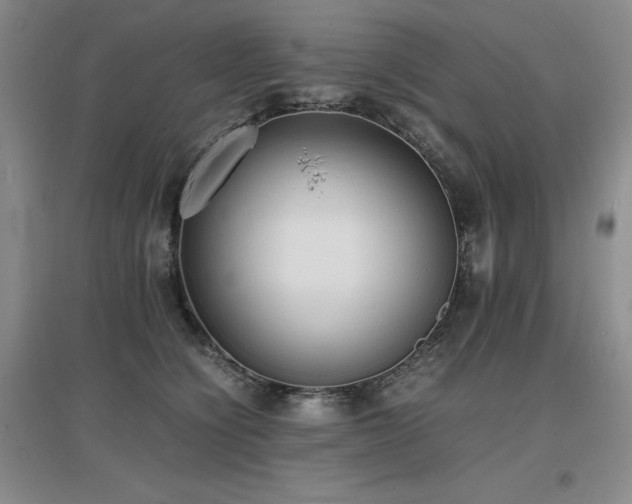 X0000097620564200802291328