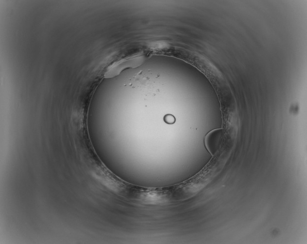 X0000097620565200802291328
