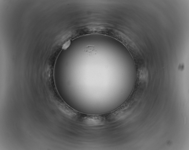 X0000097620567200802291328