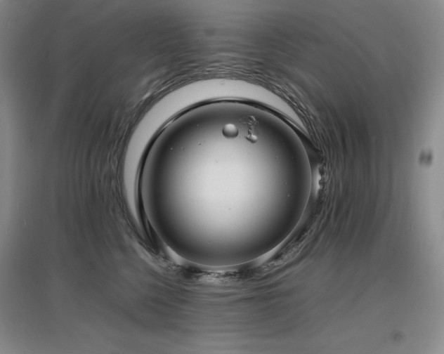 X0000097620568200802291328