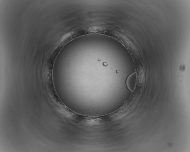 X0000097620569200802291328