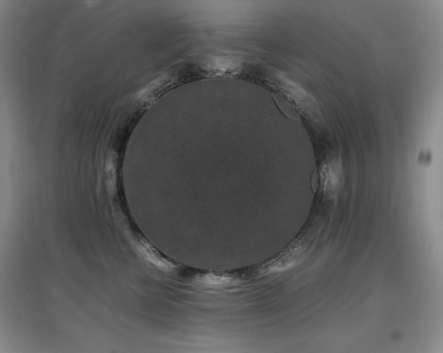 X0000097620570200802291328