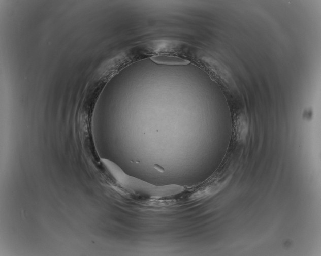 X0000097620571200802291328