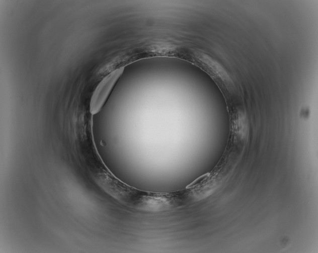 X0000097620572200802291328
