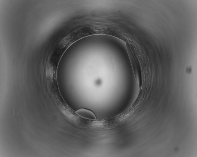 X0000097620574200802291328