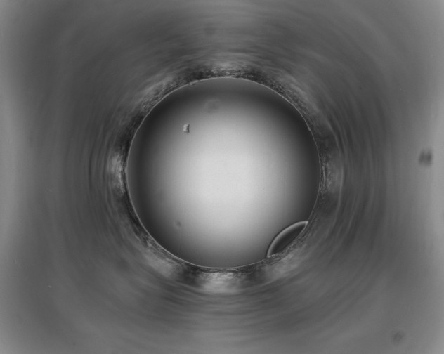 X0000097620575200802291328