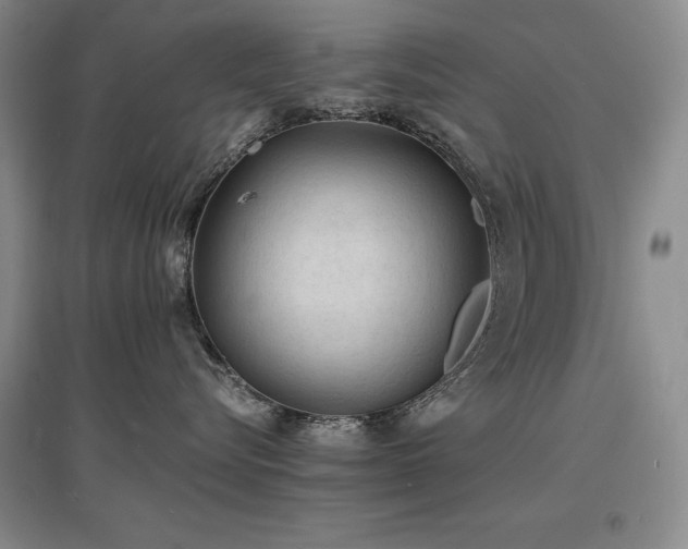 X0000097620576200802291328