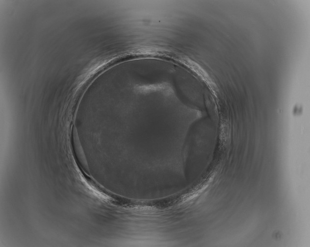 X0000097620577200802291328
