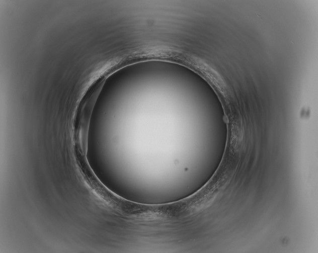 X0000097620578200802291328