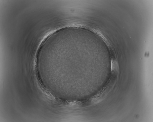 X0000097620579200802291328