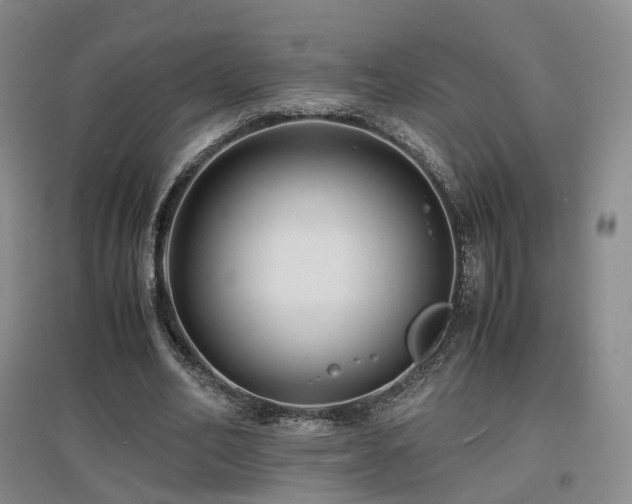 X0000097620582200802291328