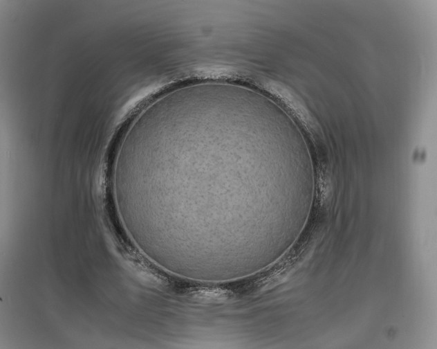 X0000097620583200802291328