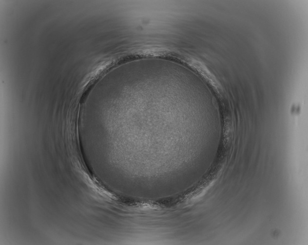 X0000097620585200802291328