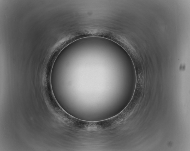 X0000097620587200802291328