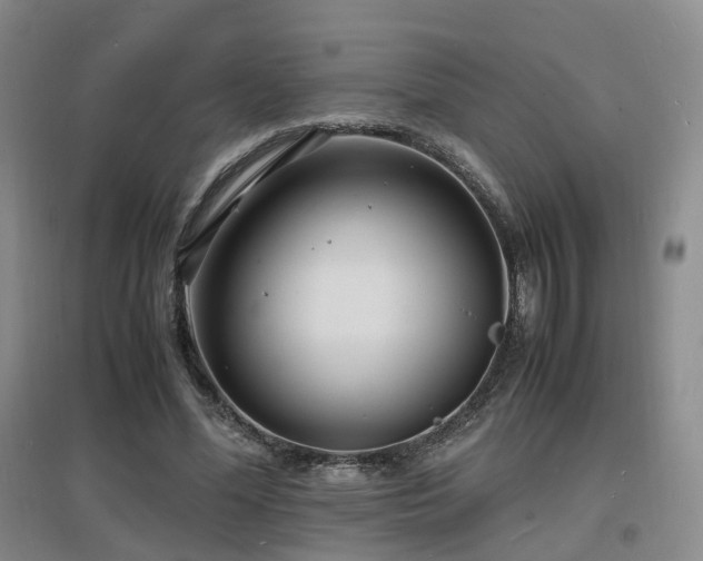 X0000097620588200802291328