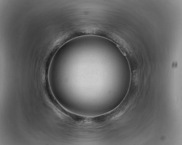 X0000097620589200802291327
