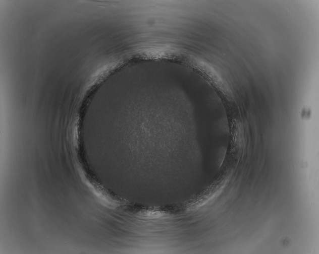 X0000097620590200802291327