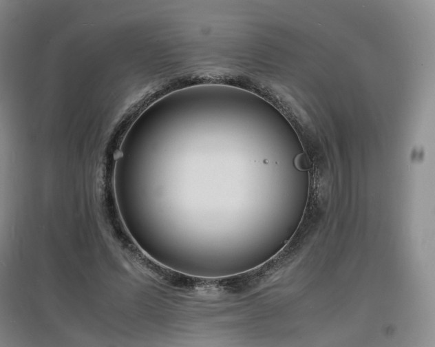X0000097620591200802291327