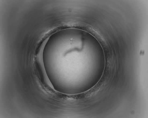 X0000097620592200802291327
