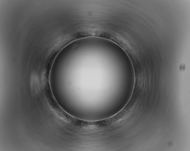 X0000097620594200802291327