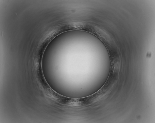 X0000097620595200802291327