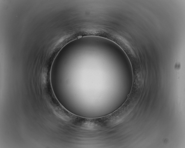 X0000097620596200802291327