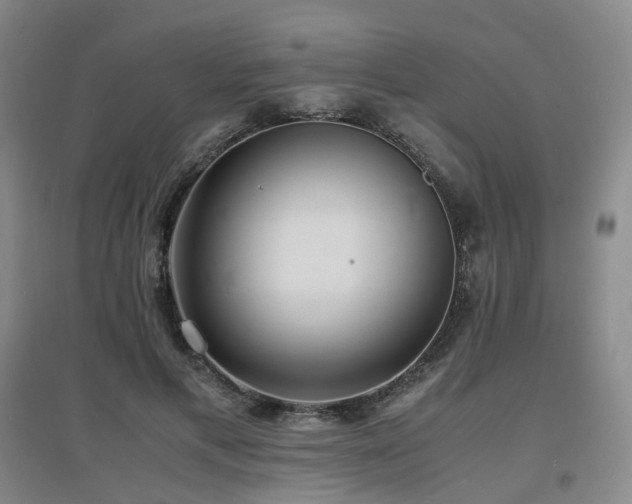 X0000097620597200802291327