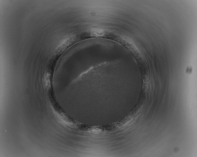 X0000097620598200802291327