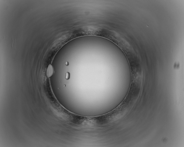 X0000097620599200802291327