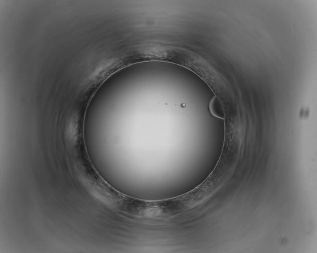 X0000097620600200802291327