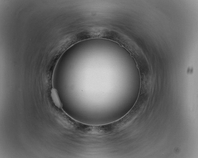 X0000097620601200802291327