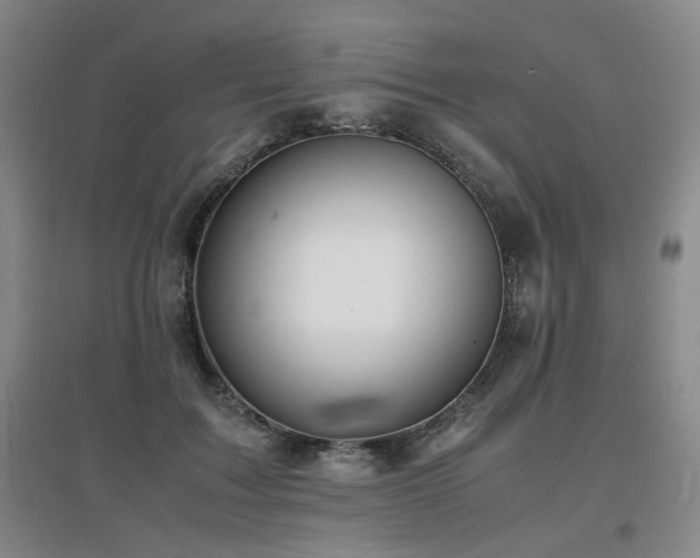 X0000097620603200802291327