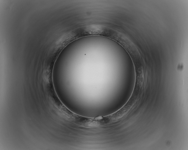 X0000097620604200802291327