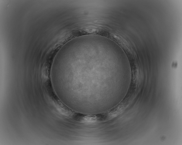 X0000097620606200802291327