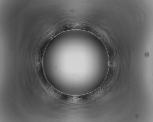 X0000097620607200802291327