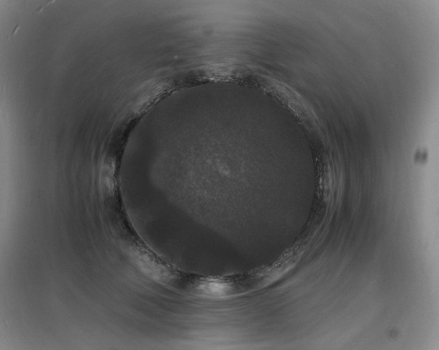 X0000097620610200802291327