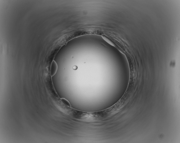 X0000097620611200802291327