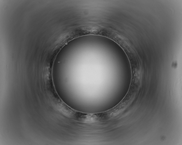 X0000097620612200802291327