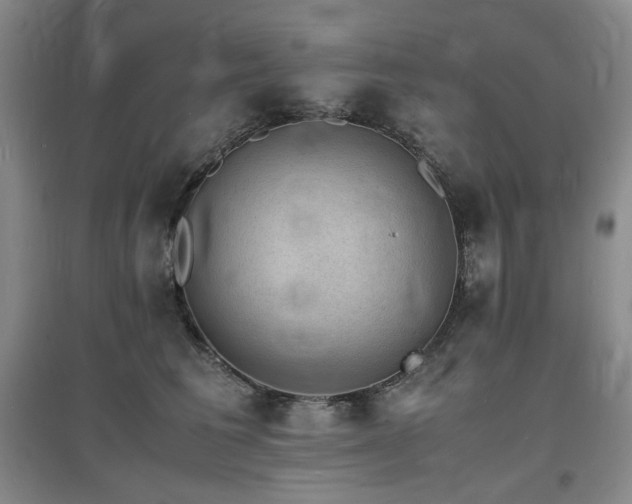 X0000097620613200802291327