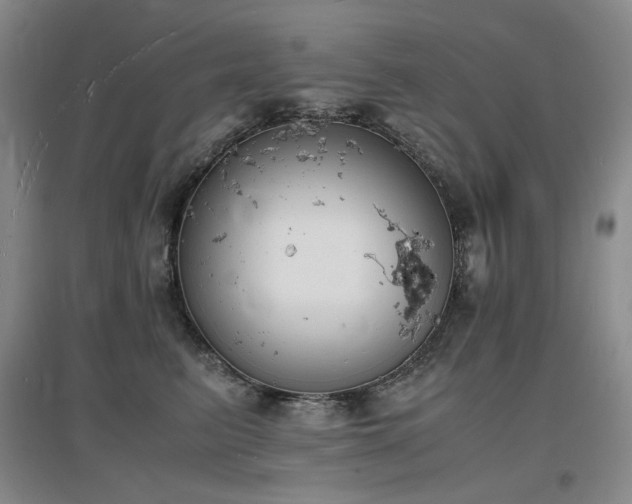 X0000097620615200802291327