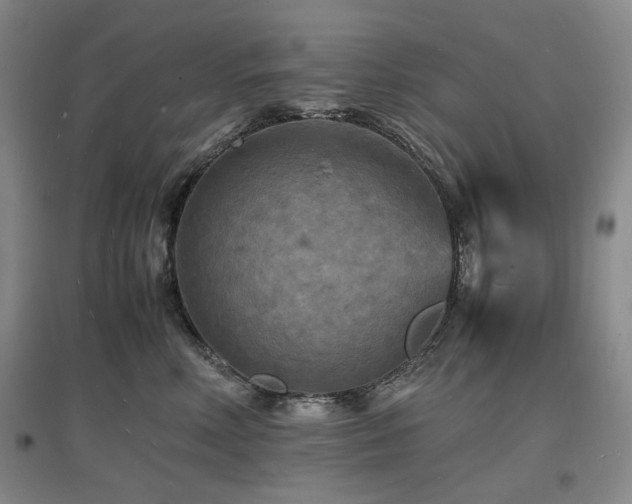 X0000097620618200802291327