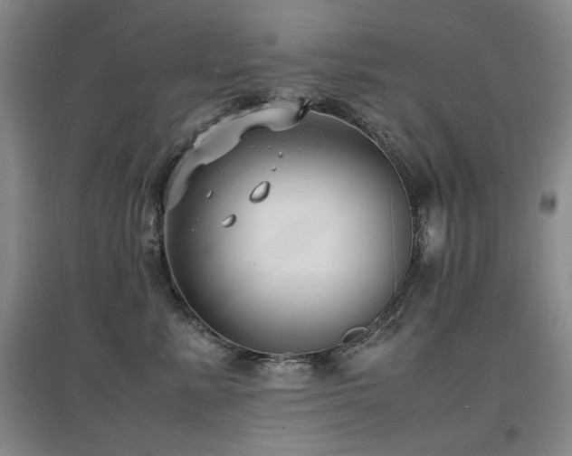 X0000097620619200802291327