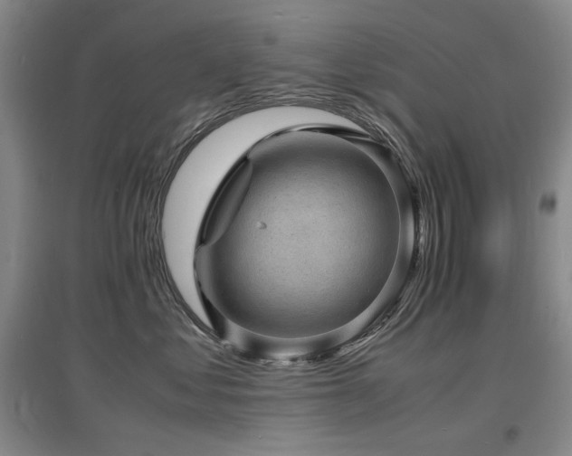X0000097620621200802291327