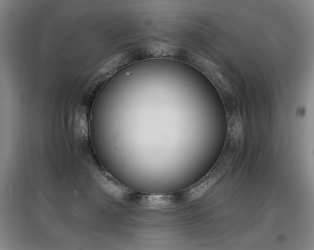 X0000097620622200802291327