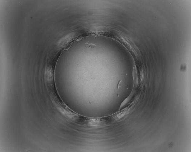 X0000097620623200802291327
