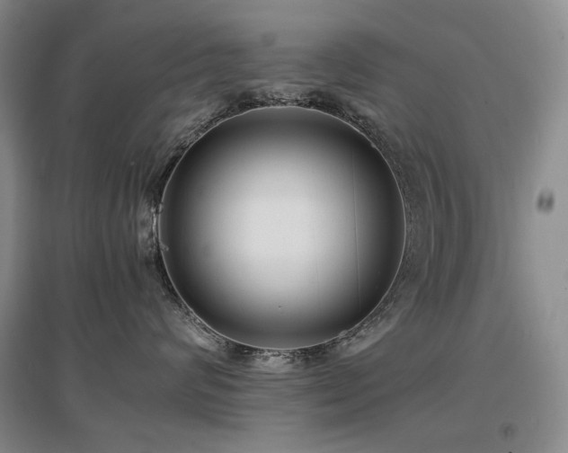 X0000097620624200802291327